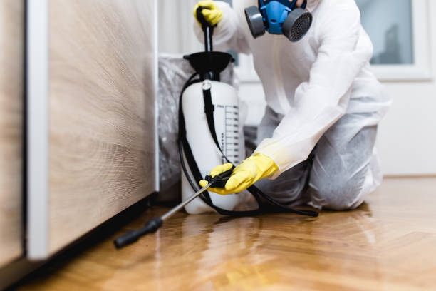 Best Pest Inspection Near Me  in Vero Beach, FL