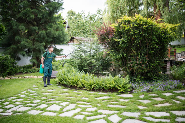Best Pest Control Near Me in Vero Beach, FL