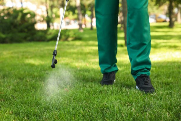 Best Best Pest Control Near Me  in Vero Beach, FL