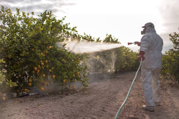 Best Wasp Removal Services  in Vero Beach, FL