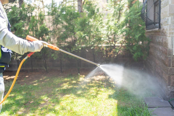 Spider Control Near Me in Vero Beach, FL