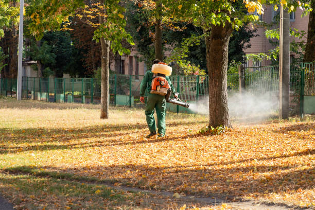 Professional Pest Control in Vero Beach, FL