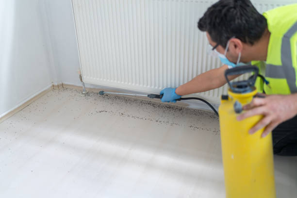 Best Mosquito Control Services  in Vero Beach, FL