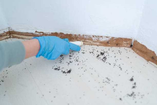 Best Commercial Pest Control Services  in Vero Beach, FL